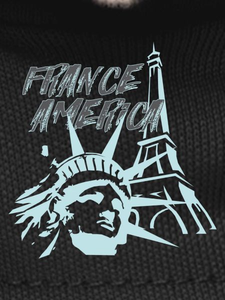 Fusion FranceAmerica