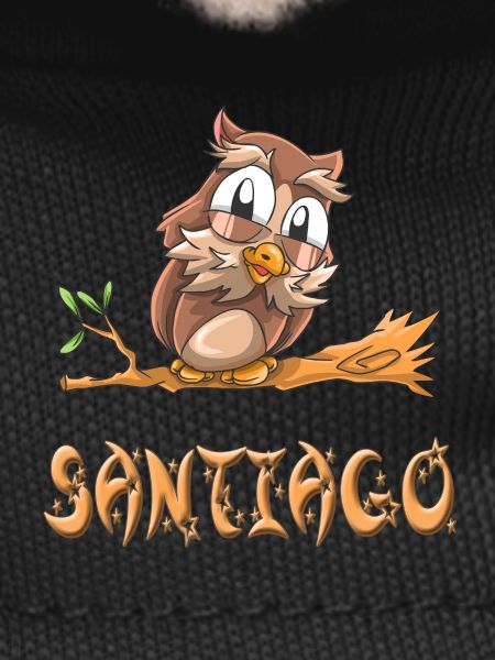 Owl Santiago