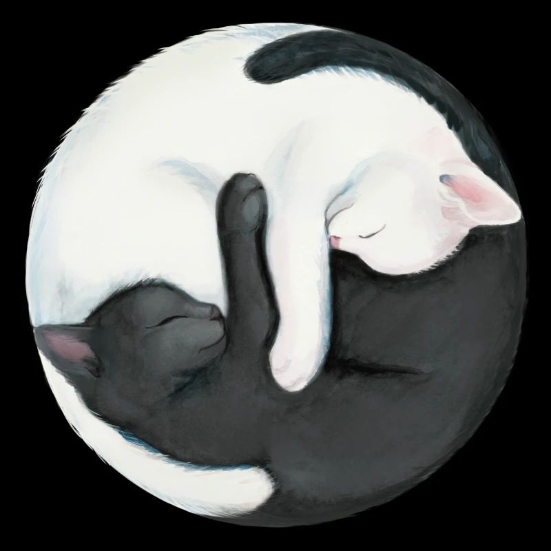 Yin Yang Balancing Cats
