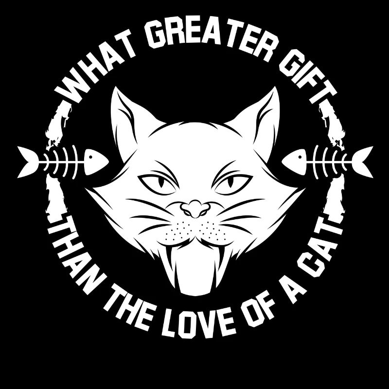Chat chaton miaou chat domestique oeil de chat