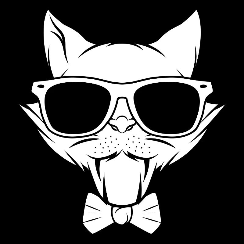 Chat chaton miaou chat domestique oeil de chat