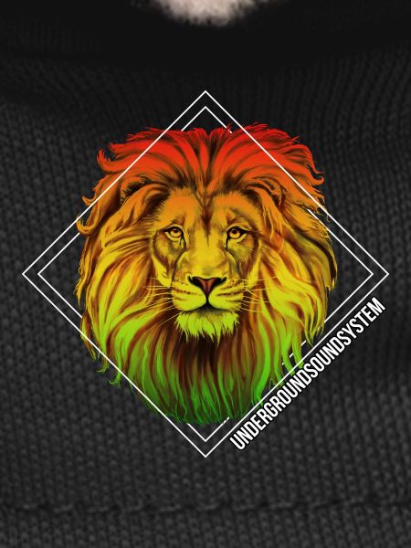 Rainbow lion in square frame
