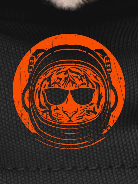 Tiger Astronaut