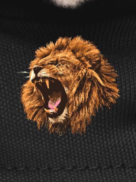 roaring lion gift