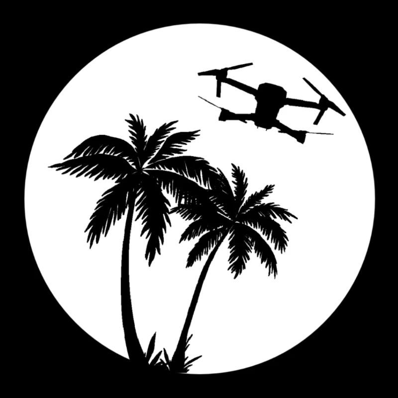 DJI MAVIC PRO DRONE Palmier Soleil