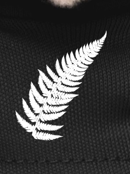 Contrasting Fern Feather