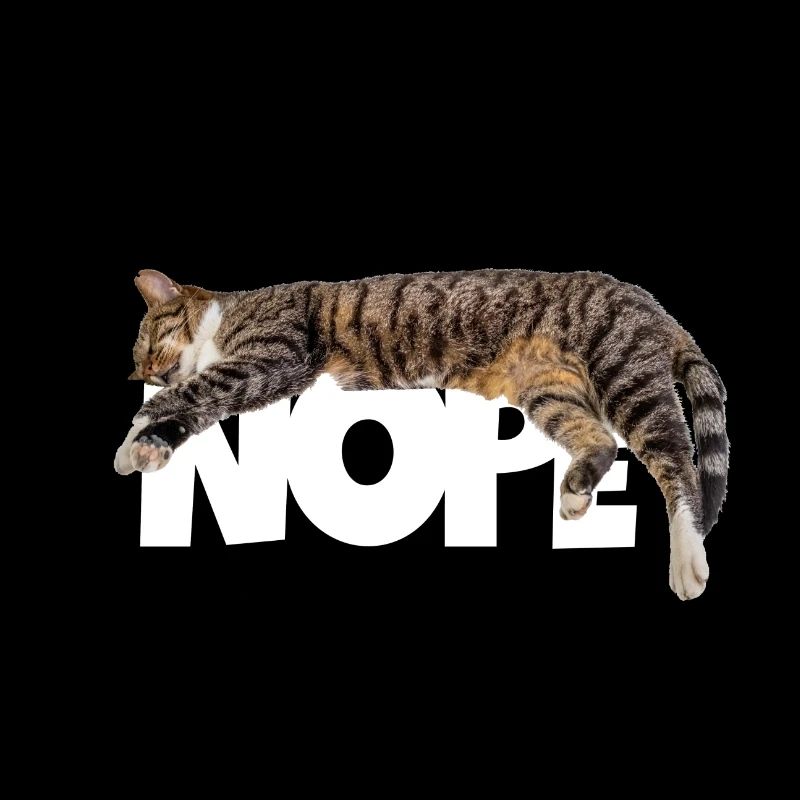 Nope cat