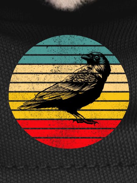 Raven crow bird