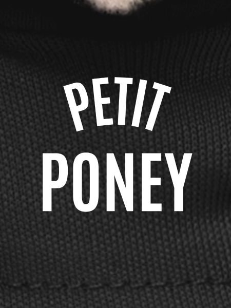 Little Poney