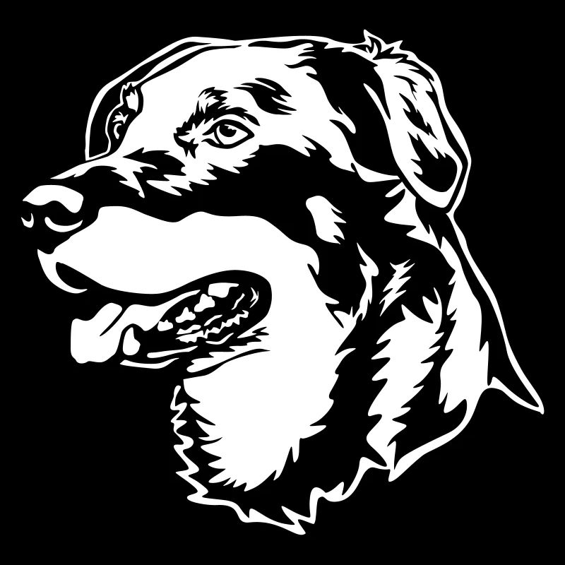 Beauceron head "Black Edition"