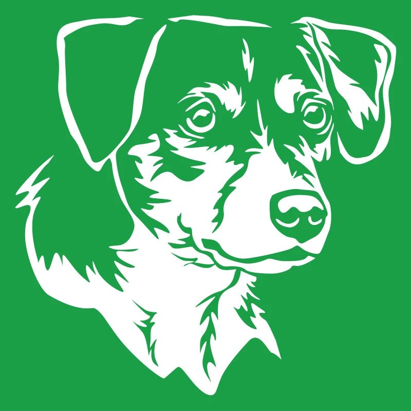 Dansk Svensk Gaardhond Head "Black Edition"