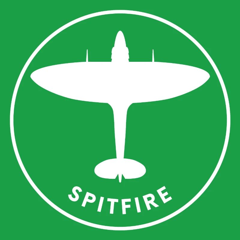 Avion de chasse de Spitfire