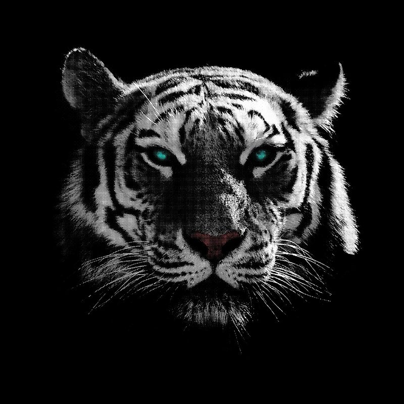 White Tiger