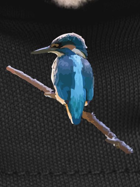 kingfisher