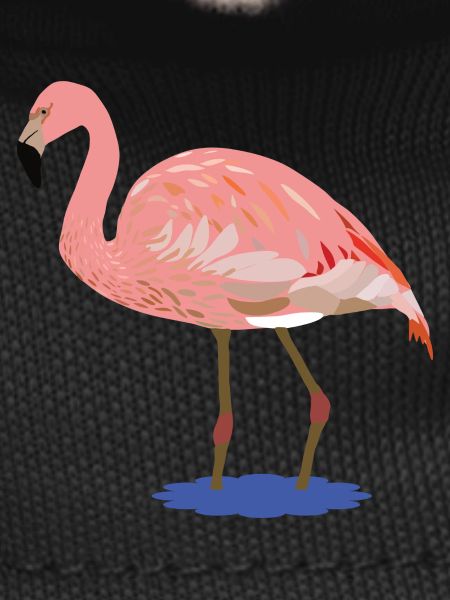Flora Flamingo