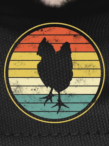 Chicken chickens