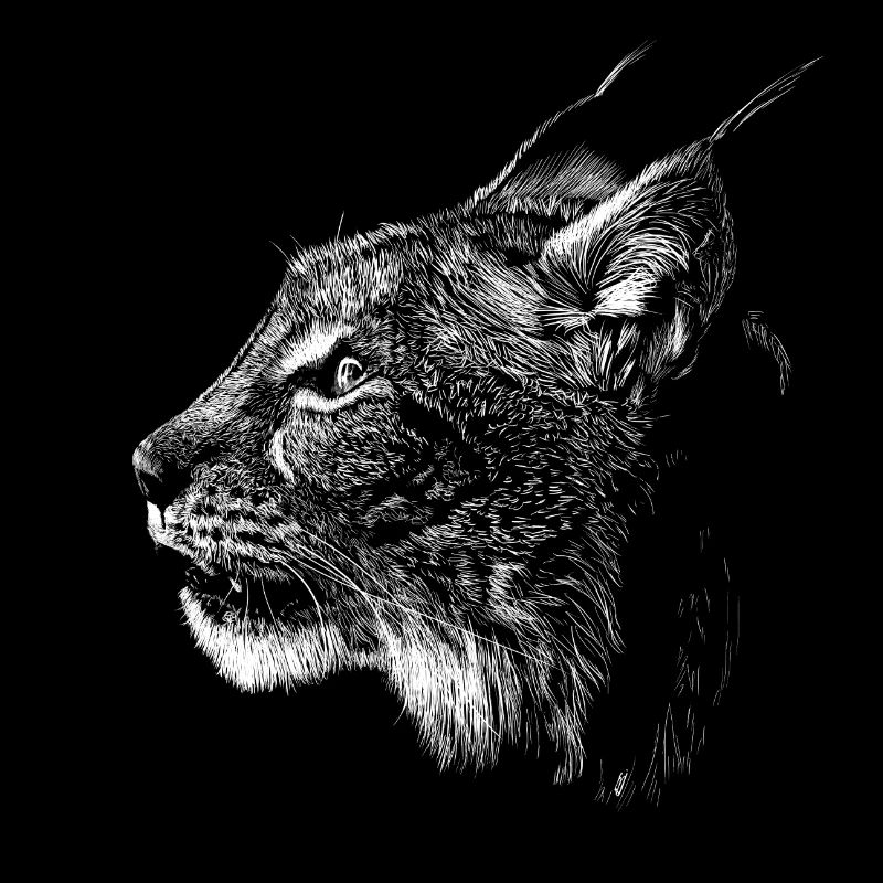 Lynx