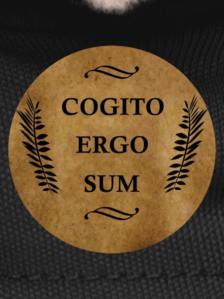 Cogito Ergo Sum