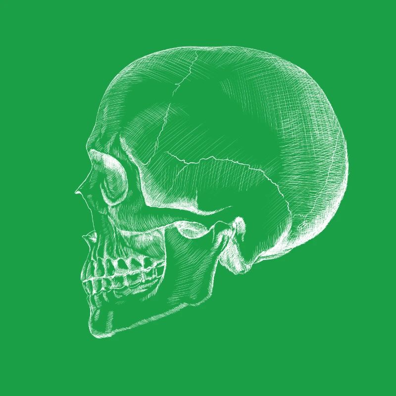 Skull