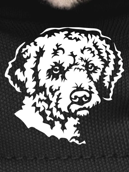 Lagotto Romagnolo Head "Black Edition"