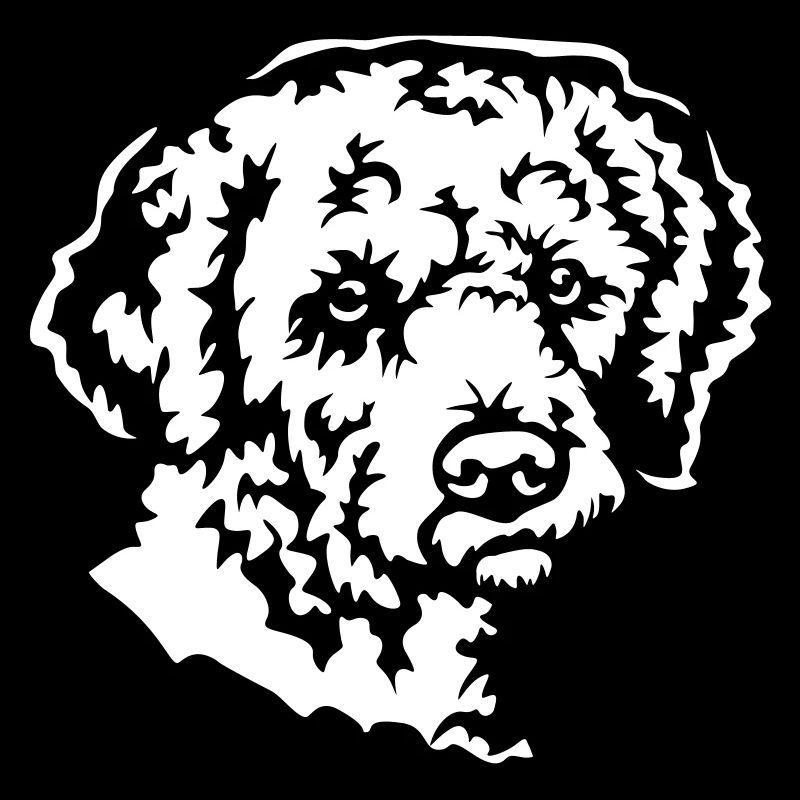 Lagotto Romagnolo Head "Black Edition"