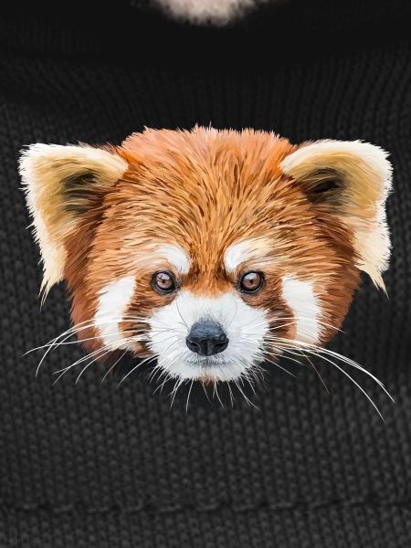 Red panda