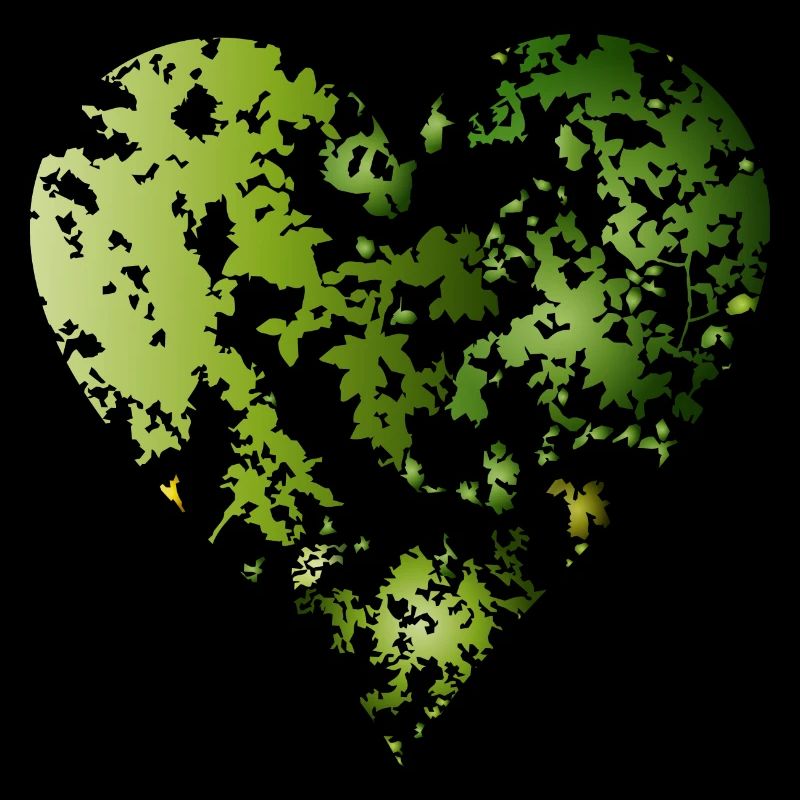 canopée verte d’une forêt en forme de cœur