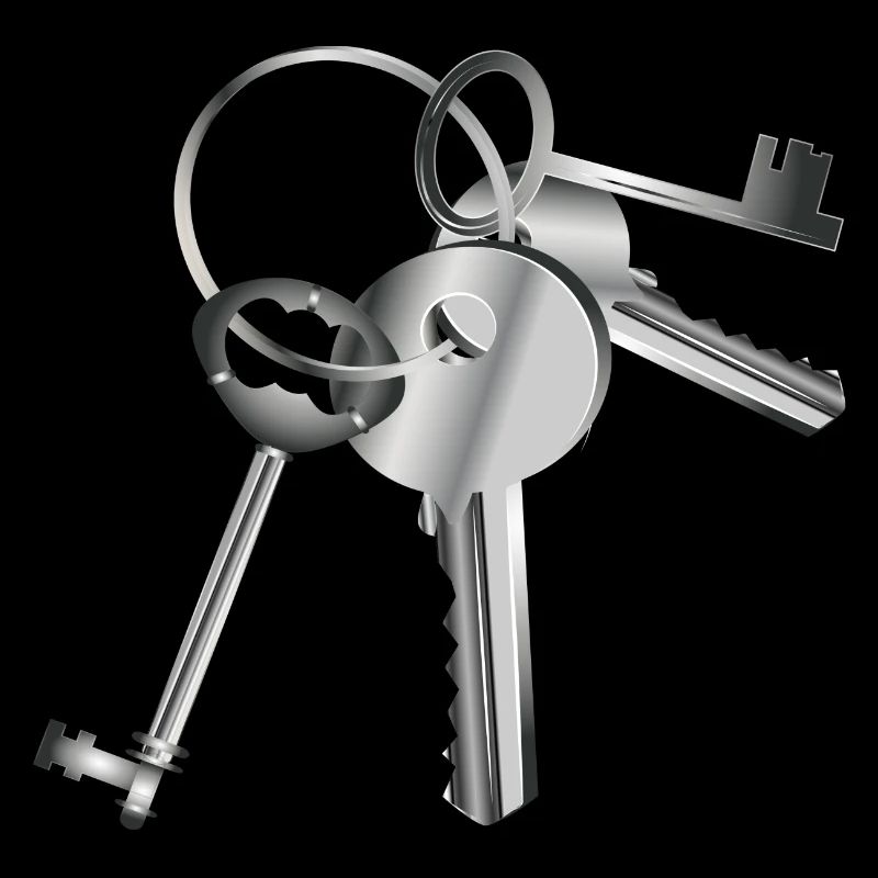 silver-colored keys on a keychain