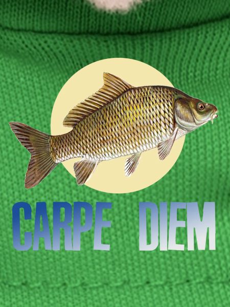 Carpe diem