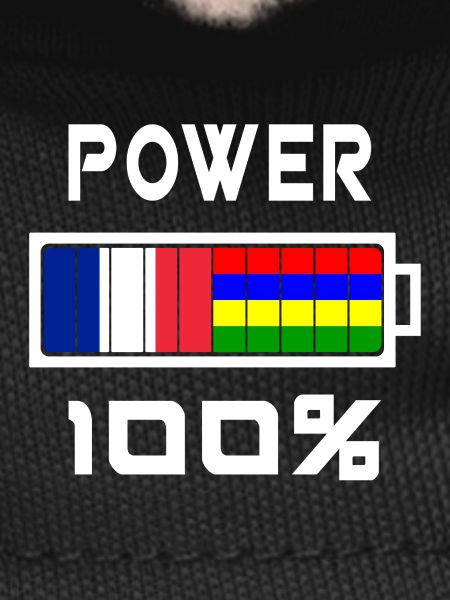 Mauritius and France feed 100%