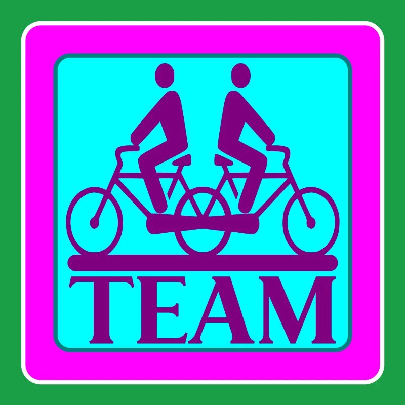 TEAM PROBLEMS - BIKE