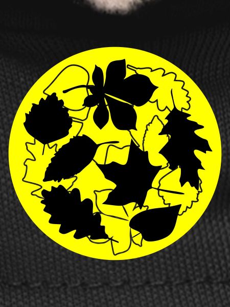Autumn Circle Leaves