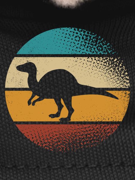 Dino Dinosaurs