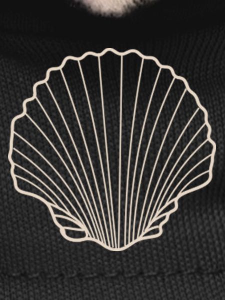 Shell Rays Silhouette