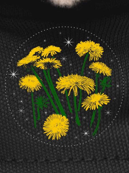 Dandelion Spring Starry Sky