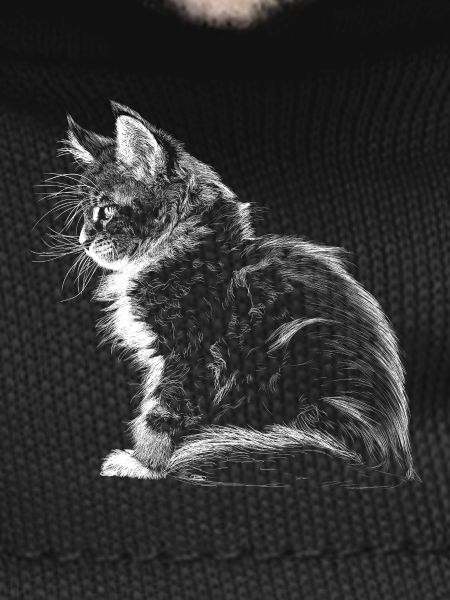 Kitten