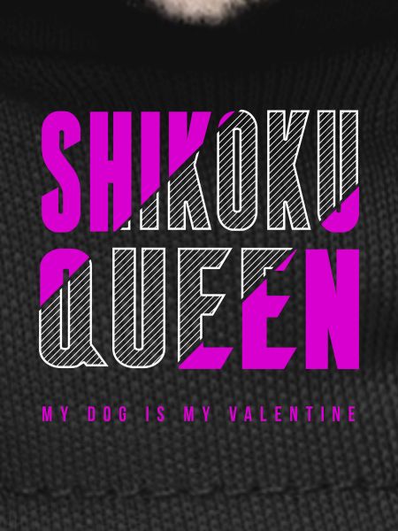Shih Poo Queen