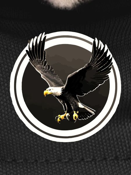 Eagle logo in circles