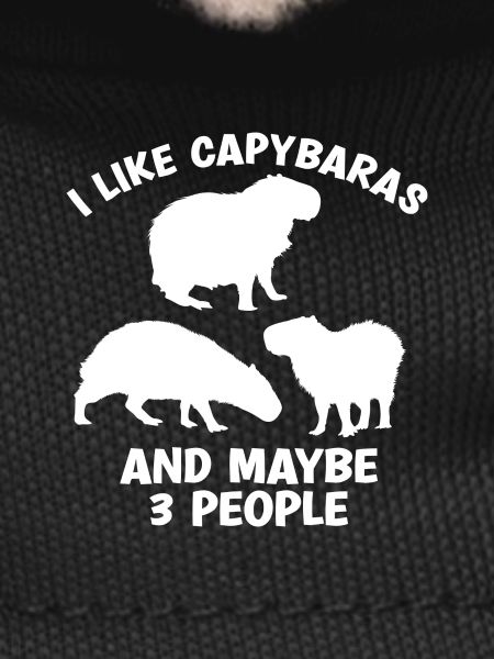 Capybara Zoo Animal Design