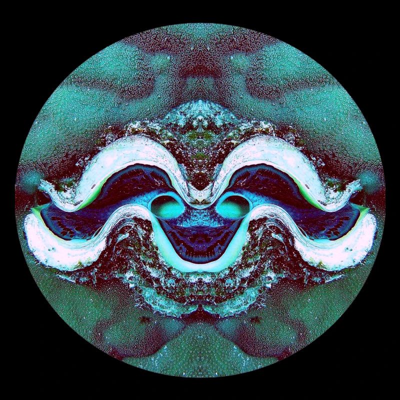 Nature Mandala Smiling Shell
