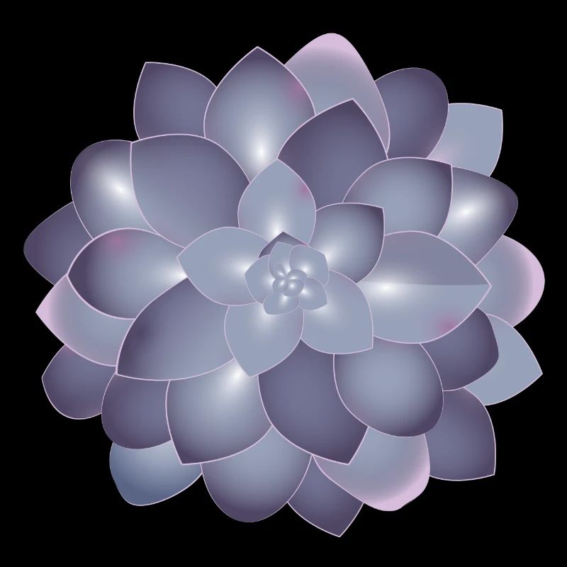 De belles plantes succulentes s’épanouissent dans des couleurs délicates