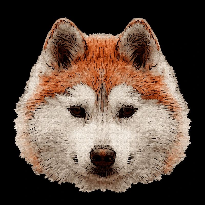 schlittenhunde, Huskykopf wasserfarboptik