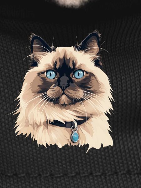 Cat Head Ragdoll