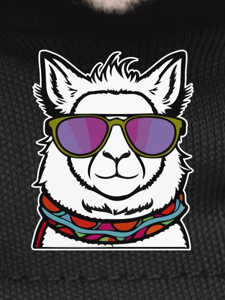 Cool Llama