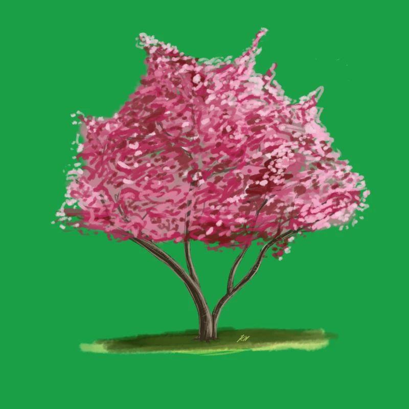 Kirsch-Sakura Rosa Blumenbaum