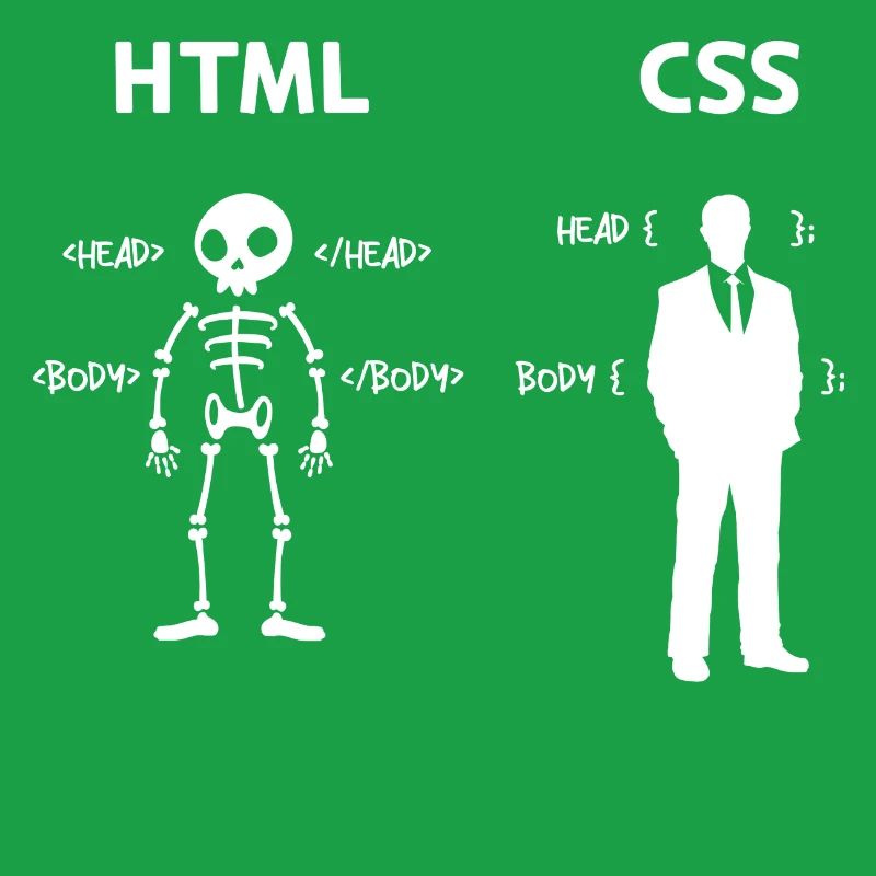 Code Css C++ Php Java Développeur Code Scripting