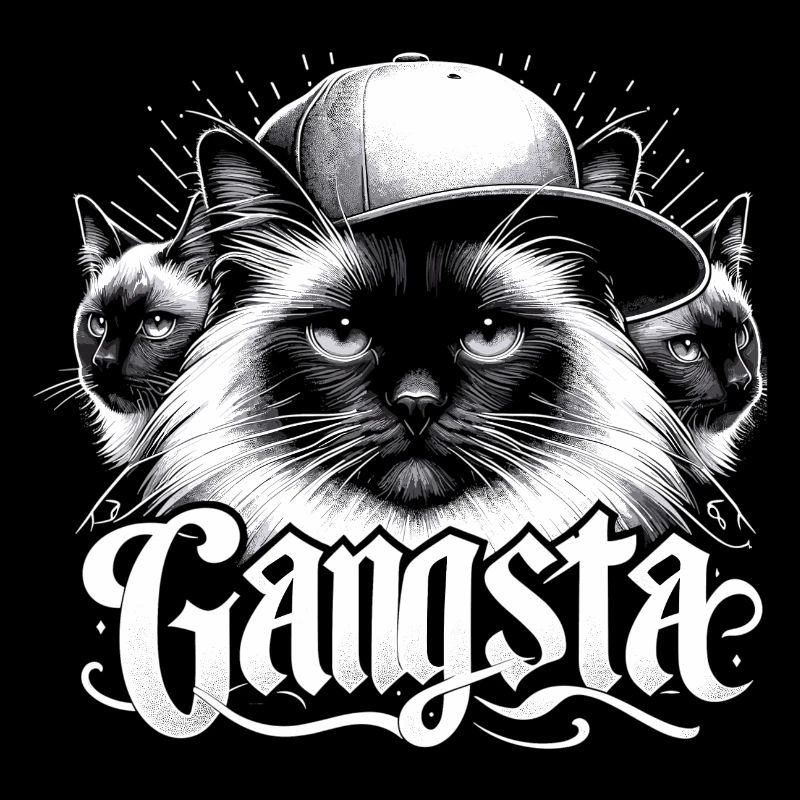 Chat Sacré de Birmanie Chat de Birmanie Trio Gangsta Gesche