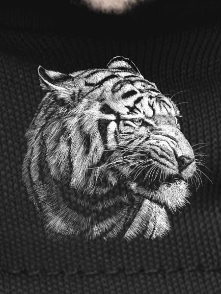 Tigre