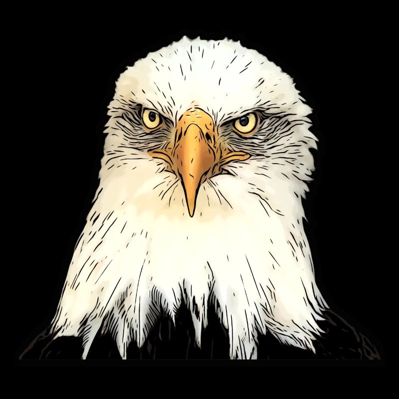 Illustration de tête d’aigle avec un regard intense