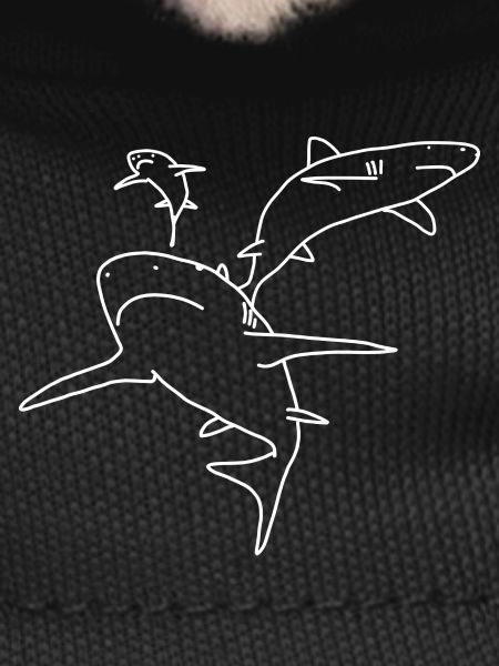 Requins